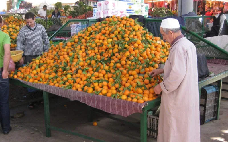 Plan Maroc Vert : le japon débloque 720 millions de dirhams