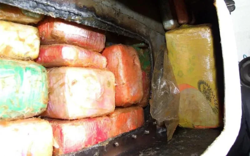 Plus de 700 kilos de cannabis saisis à Meknès, les trafiquants en fuite