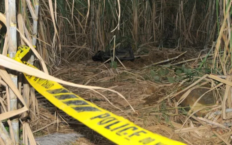 Maroc : trois mineurs arrêtés pour meurtre à Larache