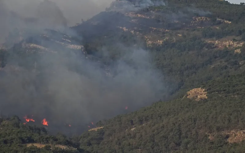 Maroc : la police arrête 7 subsahariens soupçonnés d'avoir mis le feu au mont Gourougou
