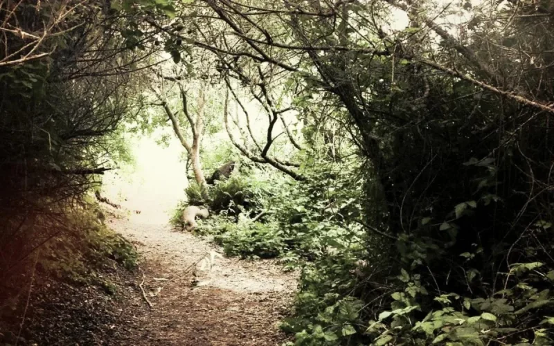 Maroc : 24 ans de prison pour les violeurs d'un adolescent handicapé mental