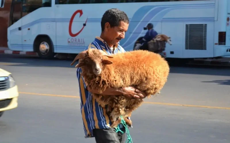 Officiel : Aïd Al Adha le 12 septembre au Maroc