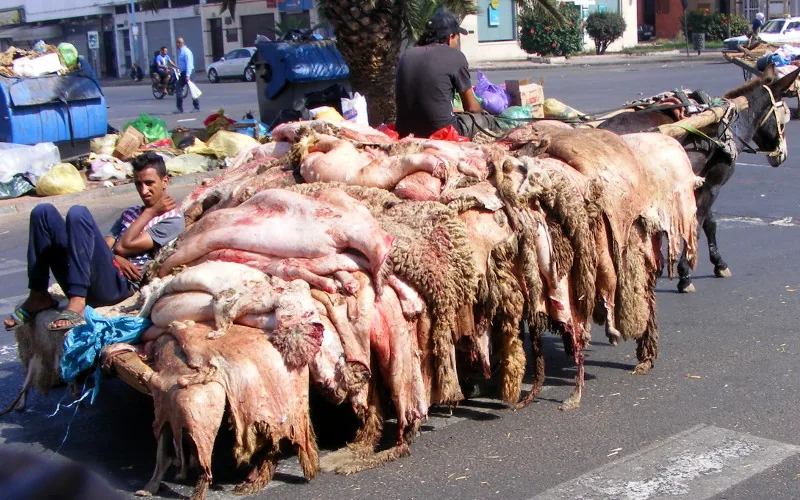 Casablanca, ville propre ou sale pendant l'Aïd Al Adha ? (vidéo)