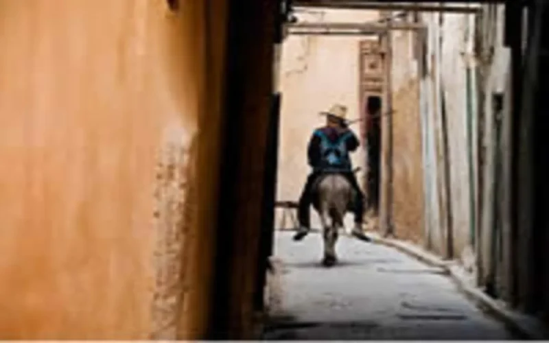 La Grande-Bretagne s'investit à Fès