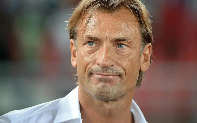 Hervé Renard ne quittera pas le Maroc et n'entraînera pas l'Algérie