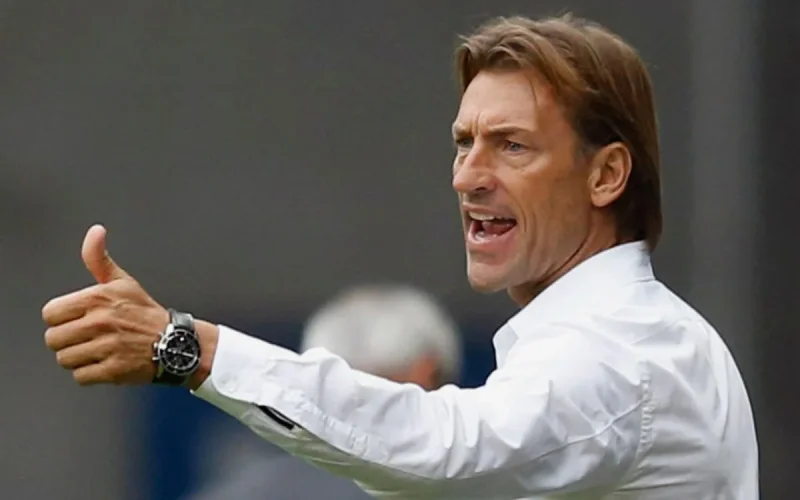 Hervé Renard fait mentir la Fédération algérienne de football et affirme qu'il a été contacté