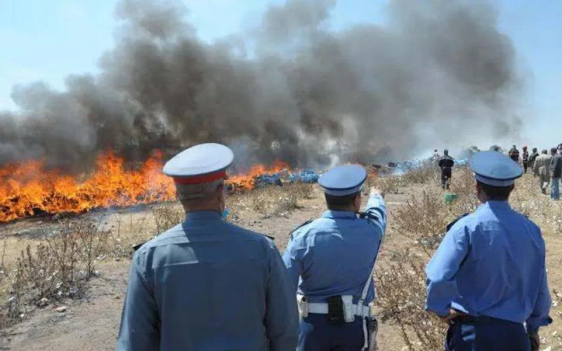 Destruction de plus de 4 tonnes de drogues à Laayoune