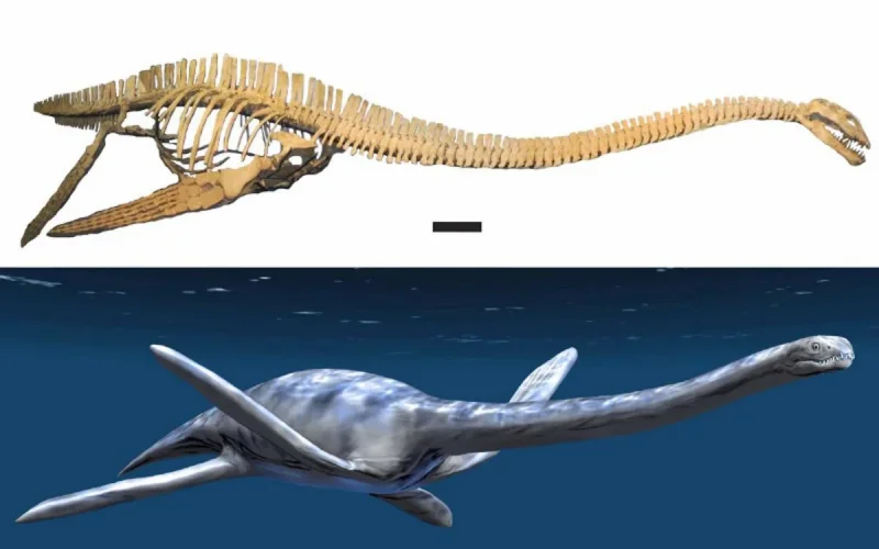 Le Maroc va récupérer son dinosaure mis aux enchères en France mais il devra payer
