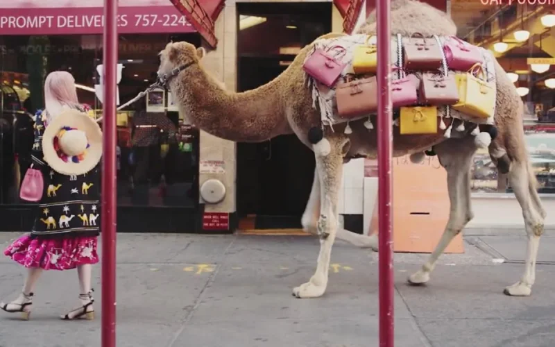 Kate Spade s'inspire du Maroc pour sa nouvelle collection (vidéo)