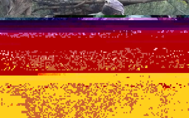 10 ans de prison ferme pour les violeurs de Hasnae (vidéo)