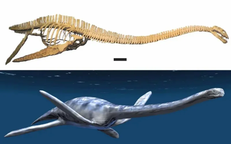 Le Maroc retrouve son squelette de dinosaure volé 