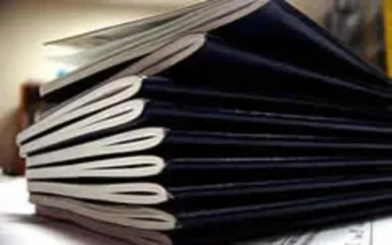 La double peine d'Ahmed Zaki