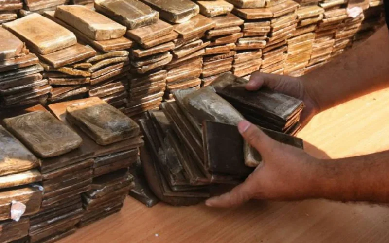 Un Hollandais arrêté en possession de 36 kg de chira au port de Tanger-ville