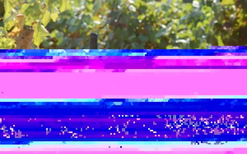 Forte augmentation de la consommation d'alcool au Maroc