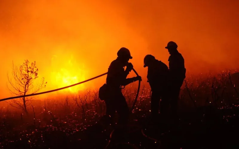 Al Hoceima : la forêt de Bouskkour prend feu