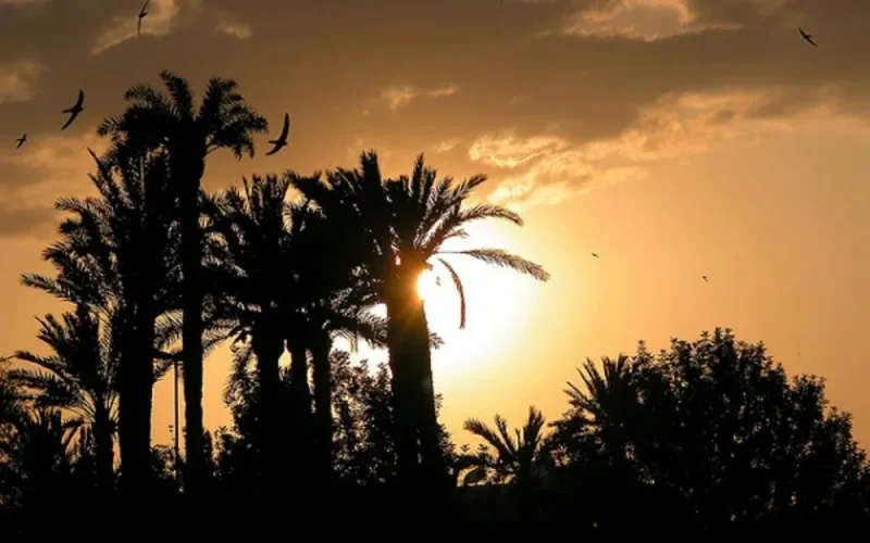 47 degrés attendus au Maroc ce jeudi