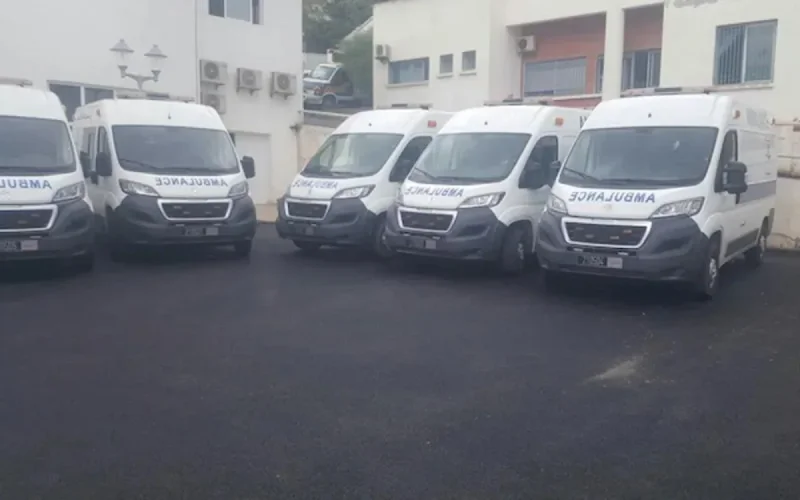 Des médicaments et des ambulances pour Al Hoceima (photos)