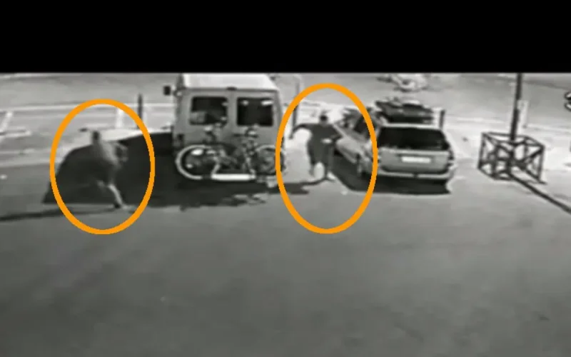 Espagne : 7 personnes ayant volé et agressé des Marocains du monde arrêtées (vidéo)