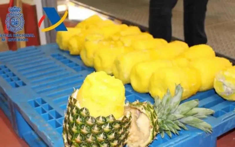 Un Marocain, considéré comme l'un des plus grands trafiquants de cocaïne en Espagne, arrêté (vidéo)