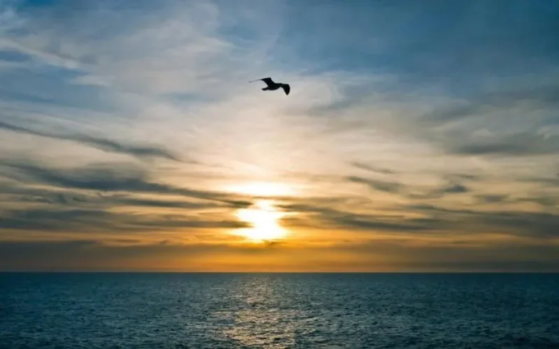 Maroc : voici la météo de ce dimanche 11 mars