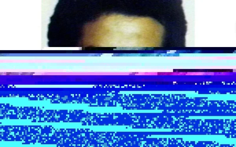 Il y a 23 ans, des militants du Front national jetaient Brahim Bouarram dans la Seine