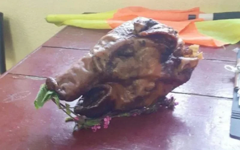 France : une tête de porc dans le vestiaire d'un arbitre d'origine marocaine