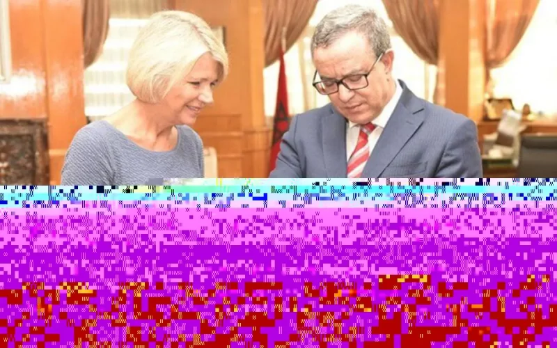 Rif : l'ambassadrice des Pays-Bas convoquée