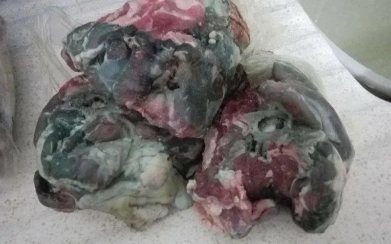 Maroc : quand la viande de l'Aïd Al Adha devient bleue (vidéo)