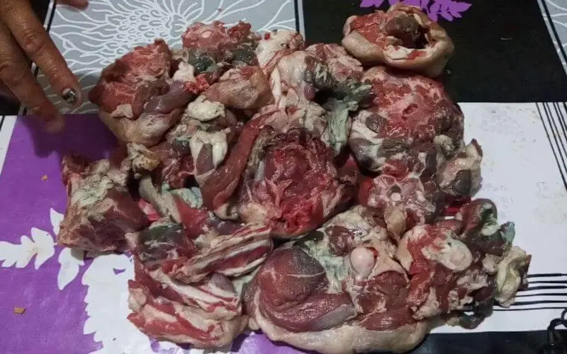 Maroc : suite à des réclamations, des centaines de bêtes examinées pendant l'Aïd Al Adha