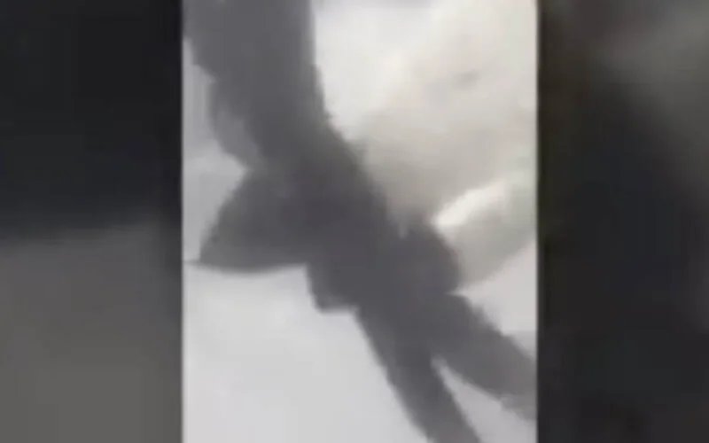 Un avion de Royal Air Maroc subit une panne en plein vol (vidéo)