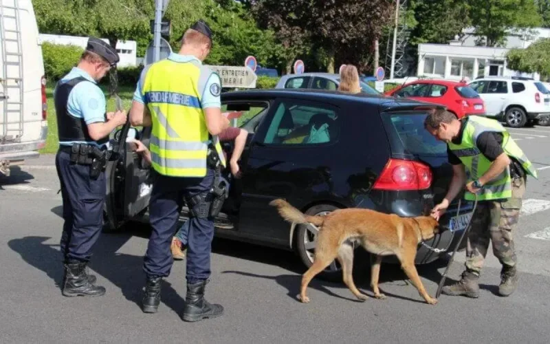 France : incapable de payer le péage, la gendarmerie découvre 145 kg de drogue dans sa voiture