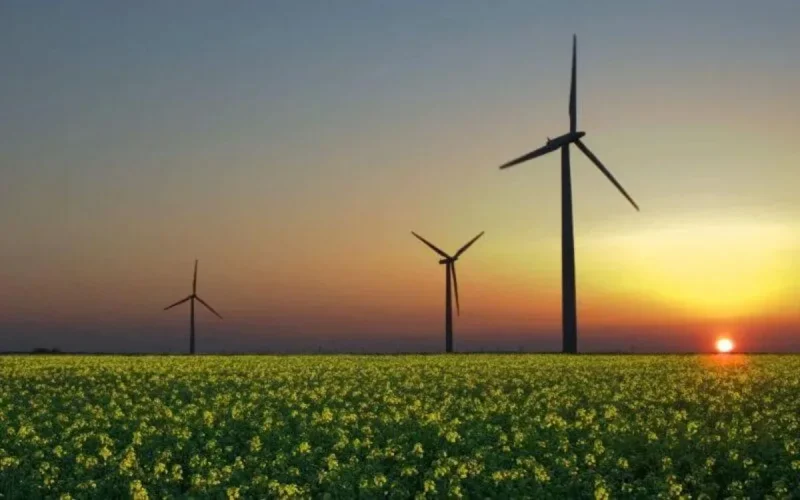 Le Maroc, leader africain en matière de développement durable