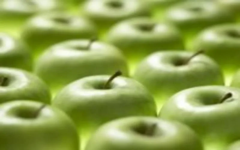 Des agriculteurs d'Andalousie en visite de prospection au nord