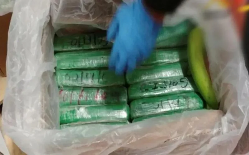 Un MRE arrêté avec 10 kilos de cocaïne à Nador