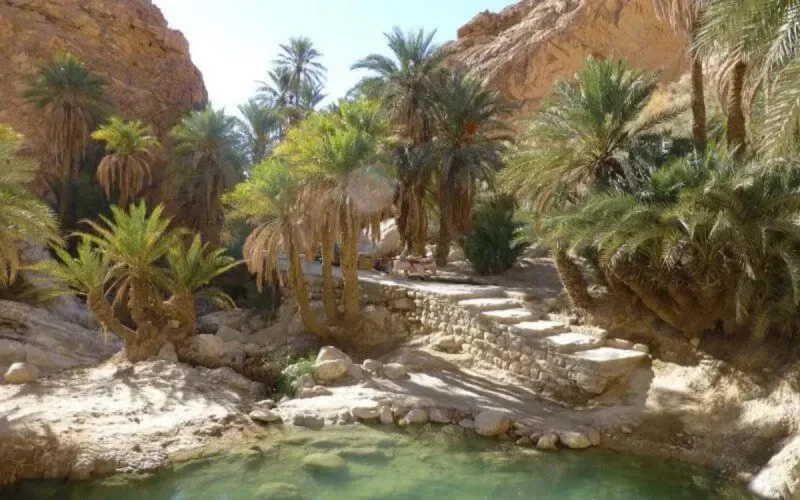 Ministre tunisien du tourisme : « le Sud tunisien est plus beau que Marrakech »