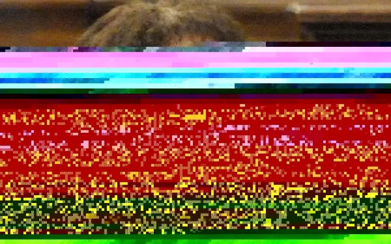 Belgique : « la veuve noire du djihad » expulsable au Maroc