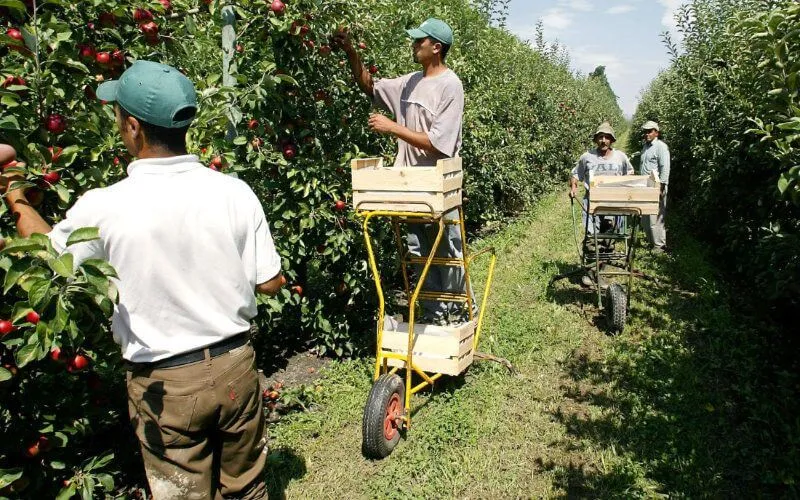 Des esclaves marocains en France ?
