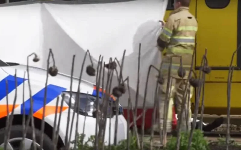 Attaque à Utrecht : l'ambassade du Maroc crée une cellule de crise