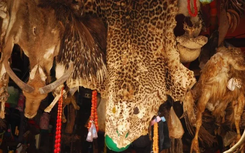 Sorcellerie et djinns : une arnaque à 1,3 million de dirhams