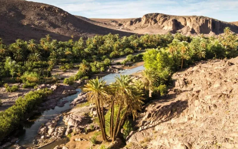 L'AFD a investi plus de 400 millions d'euros au Maroc en 2018