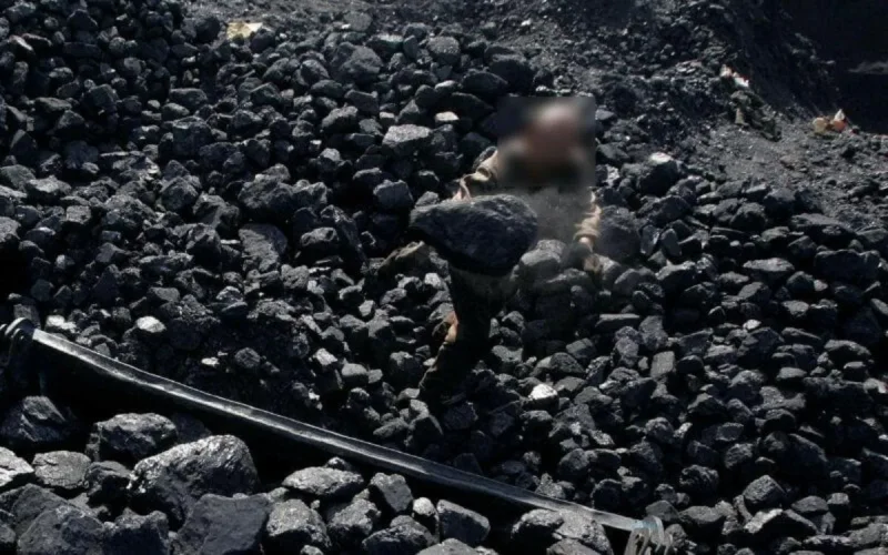 Maroc : des mines de charbon clandestines avec l'aval des Eaux et forêts ?