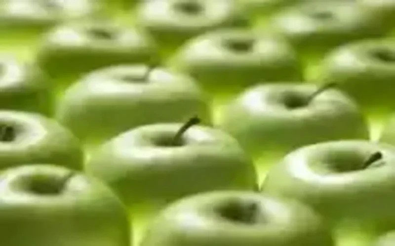  Agriculture : Une mission marocaine aux USA