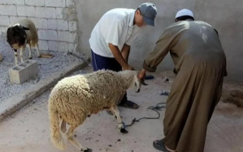 Une curieuse façon de demander l'aide du roi Mohammed VI 