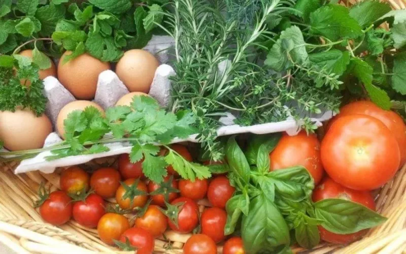 Le bio marocain à la quête d'une reconnaissance internationale