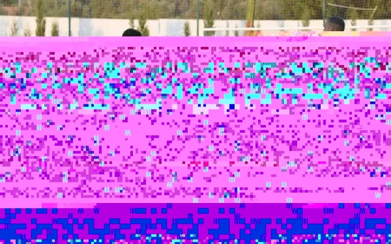 CAN 2019 : le match contre le Bénin sera très difficile, selon Hervé Renard