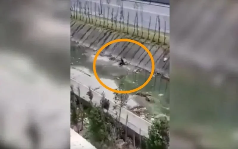 Voici ce que pense la DGSN de l'affaire "Viol en plein espace public à Tanger"