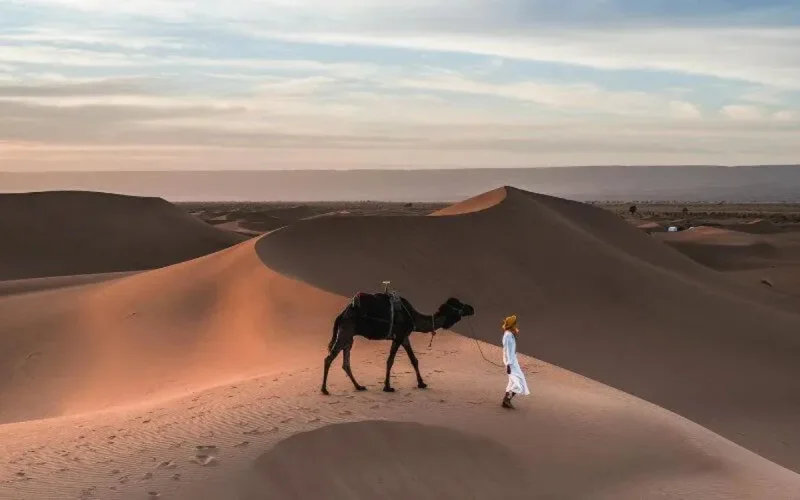 Maroc : un touriste étranger retrouvé mort à la frontière avec l'Algérie