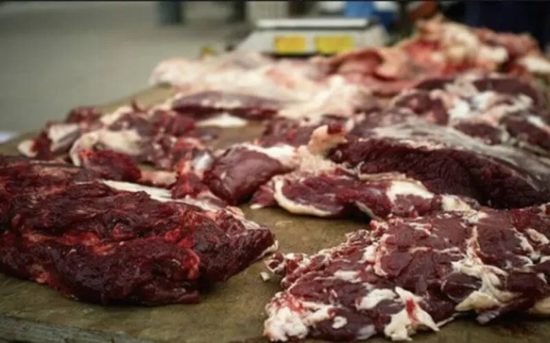 Casablanca : une découverte macabre à Hay Mohammadi