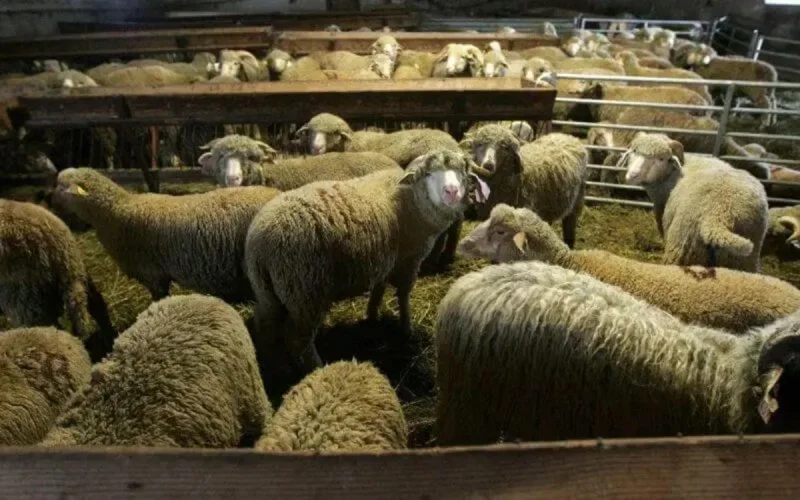 La Rochelle : la communauté musulmane en colère