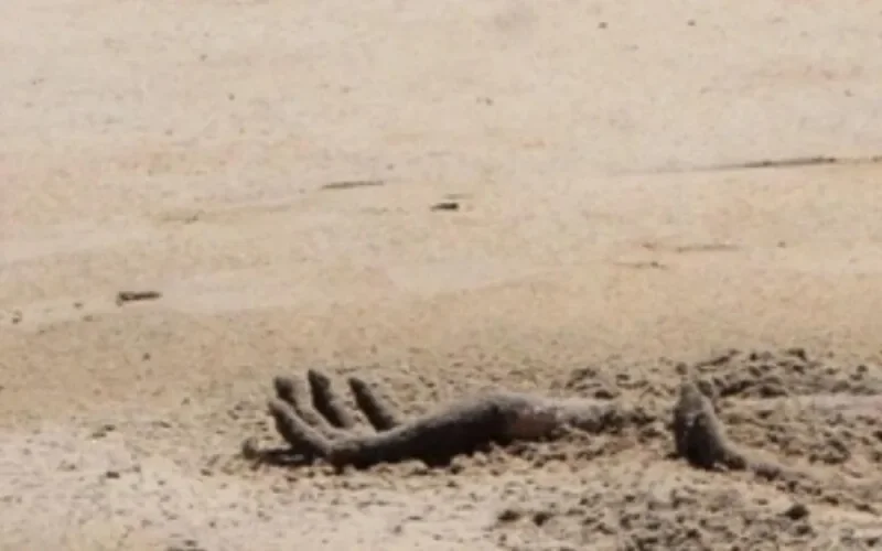 Macabre découverte à la plage d'Agadir